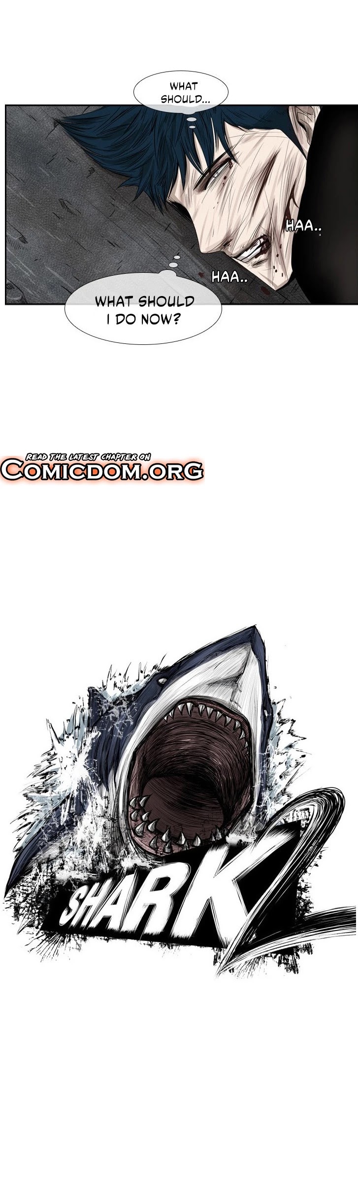 Read Shark EN Manga Online