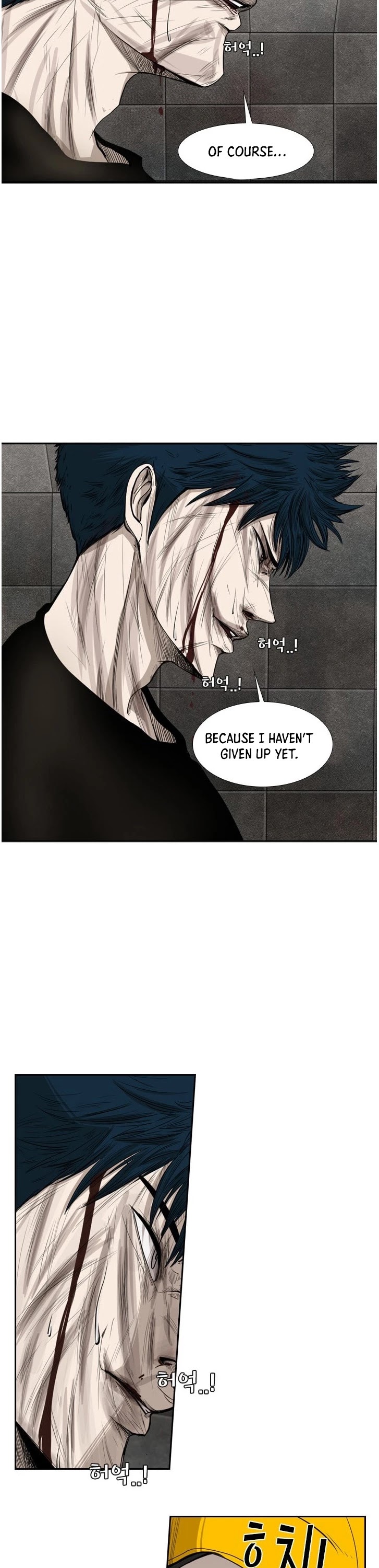Read Shark EN Manga Online
