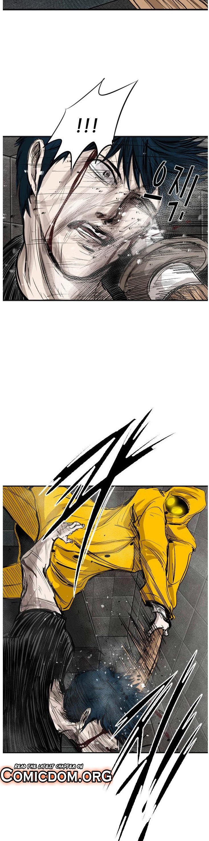 Read Shark EN Manga Online