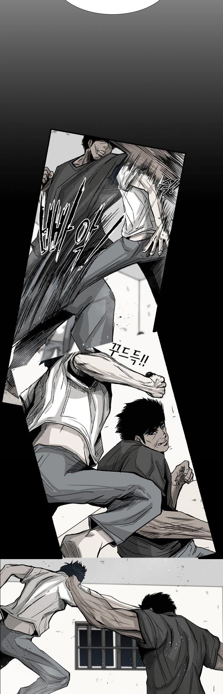 Read Shark EN Manga Online