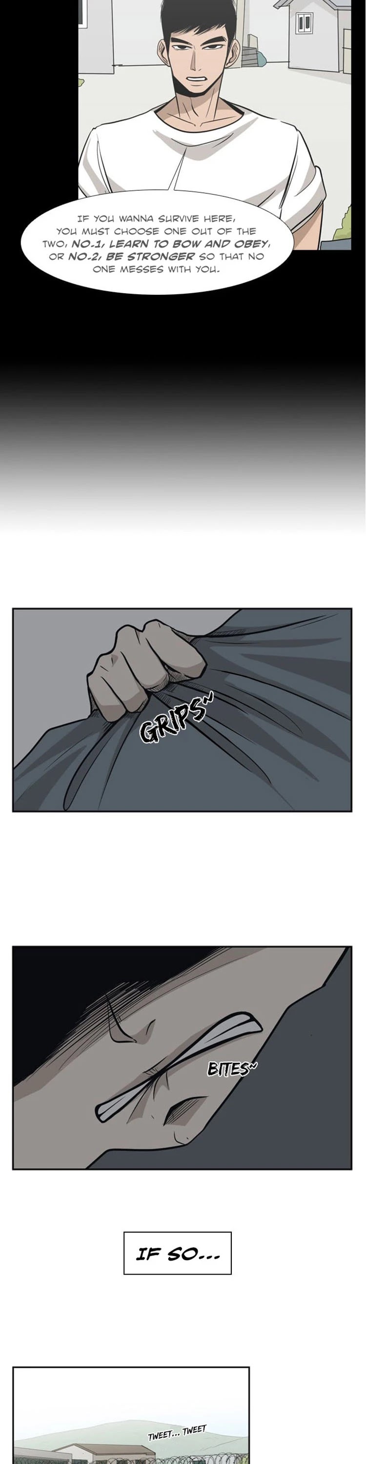 Read Shark EN Manga Online