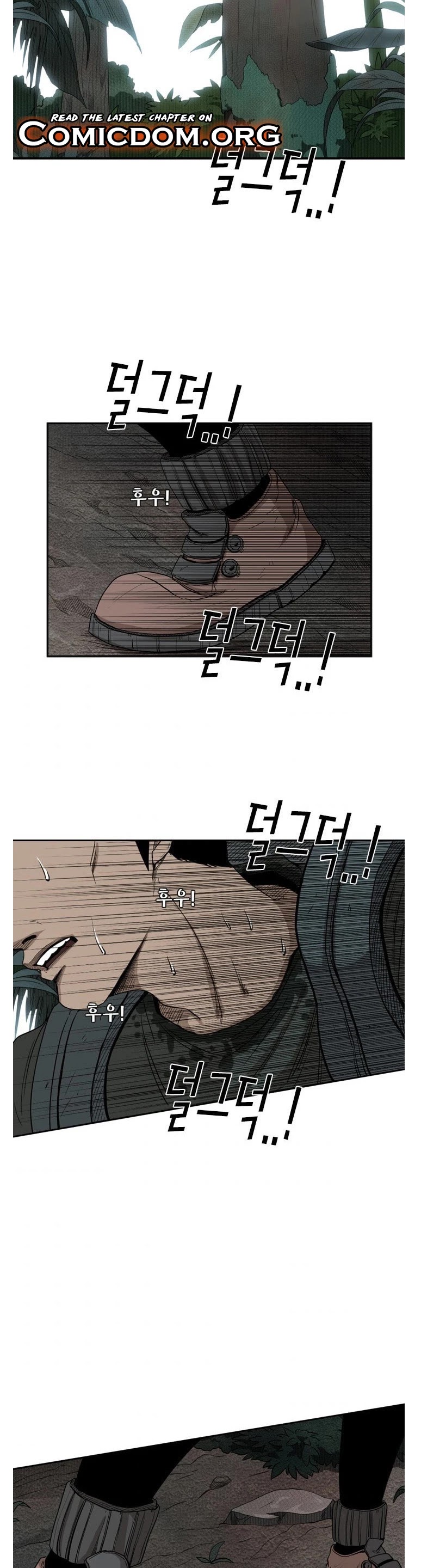 Read Shark EN Manga Online