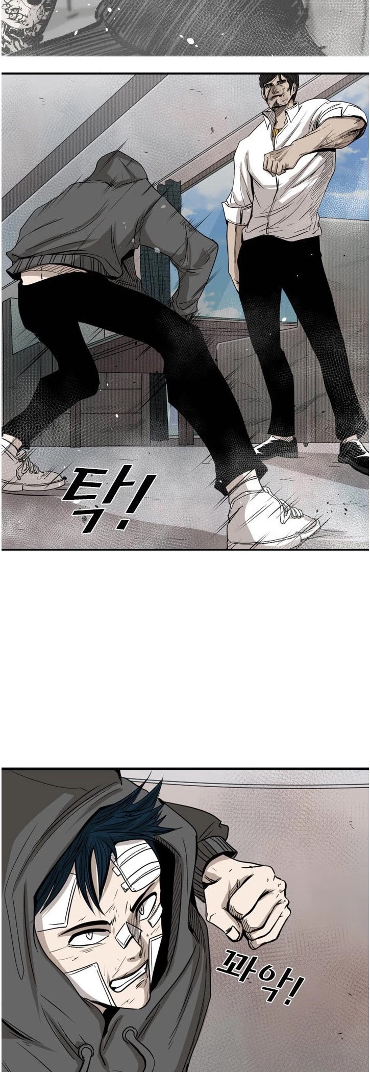 Read Shark EN Manga Online