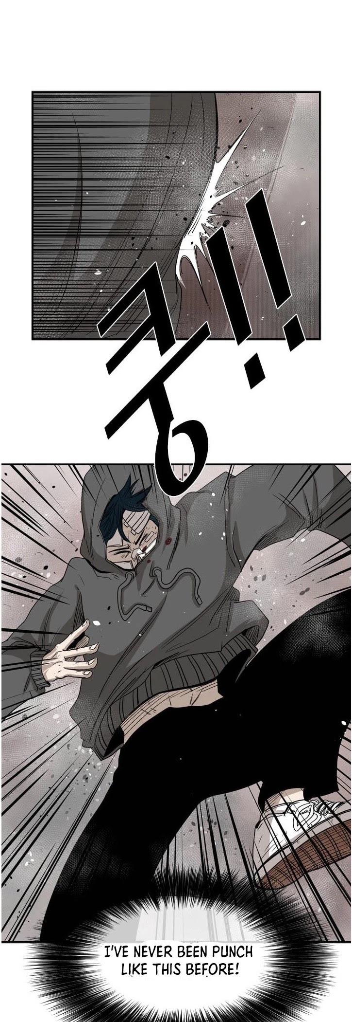 Read Shark EN Manga Online