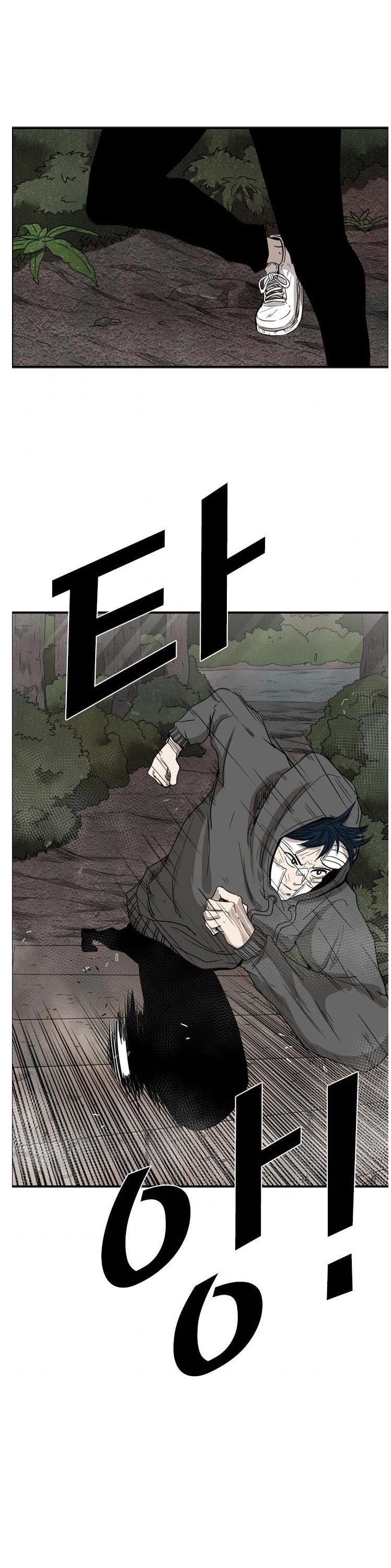 Read Shark EN Manga Online