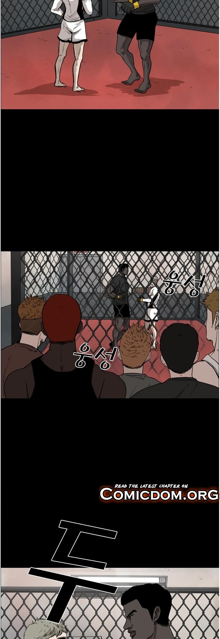 Read Shark EN Manga Online