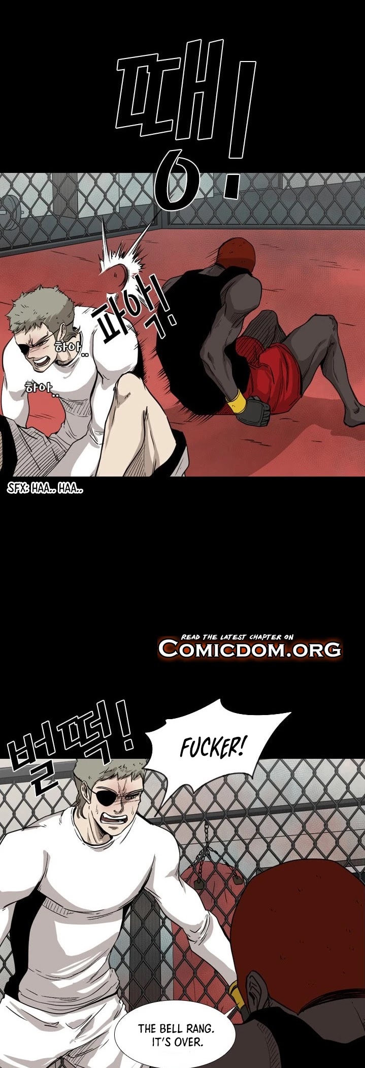 Read Shark EN Manga Online