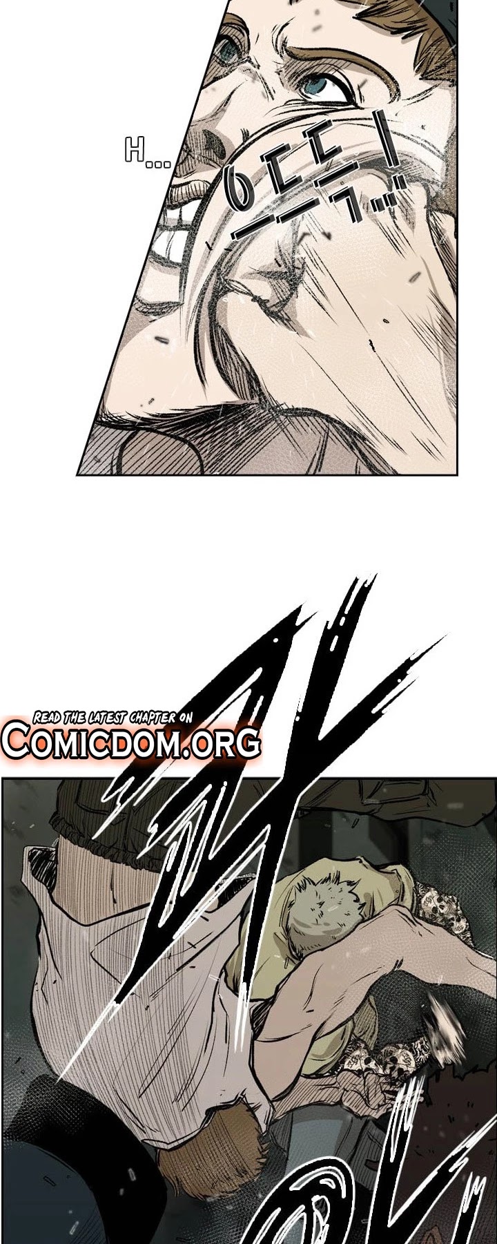 Read Shark EN Manga Online