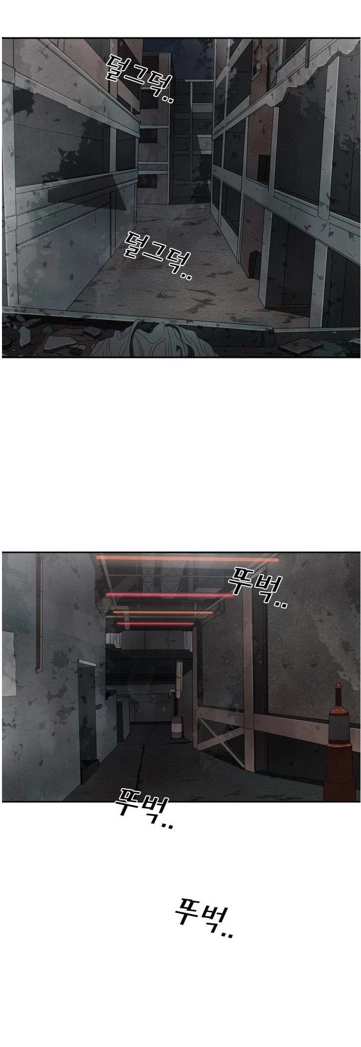 Read Shark EN Manga Online