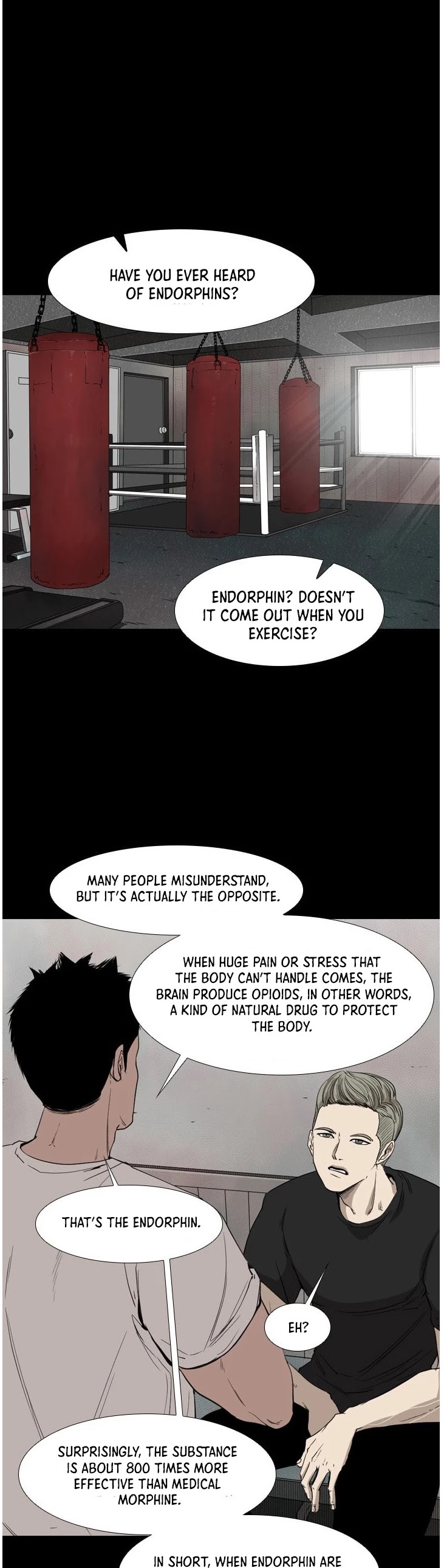 Read Shark EN Manga Online