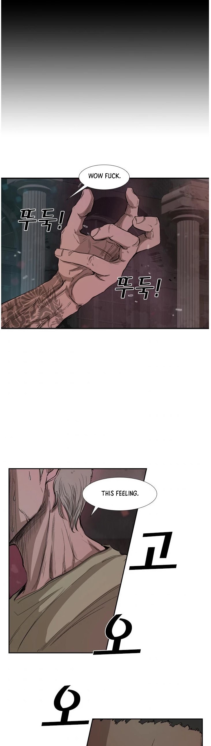 Read Shark EN Manga Online
