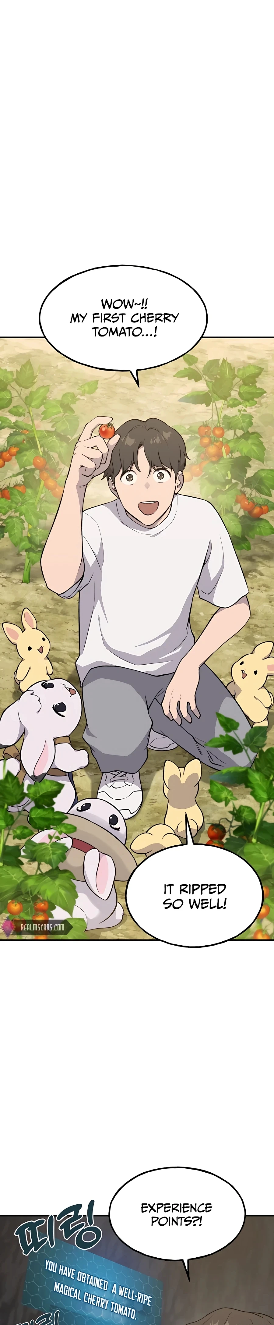 Read Solo Farming In The Tower EN Manga Online