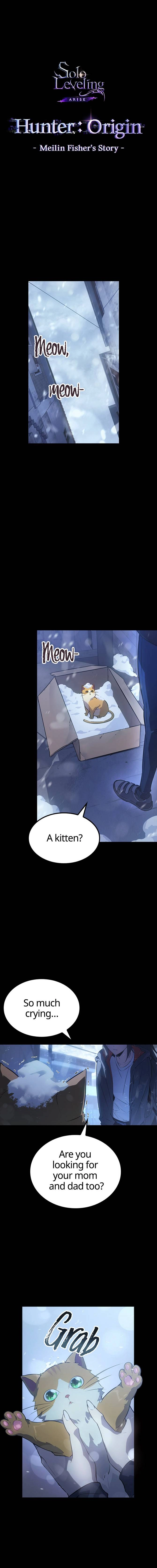 Read Solo Leveling Arise EN Manga Online