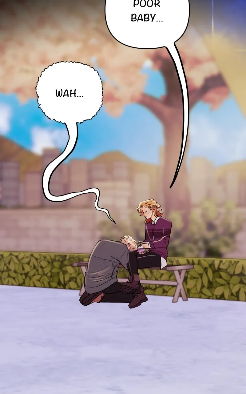 Read Star Catcher EN Manga Online