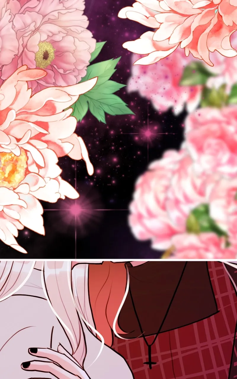 Read Star Catcher EN Manga Online