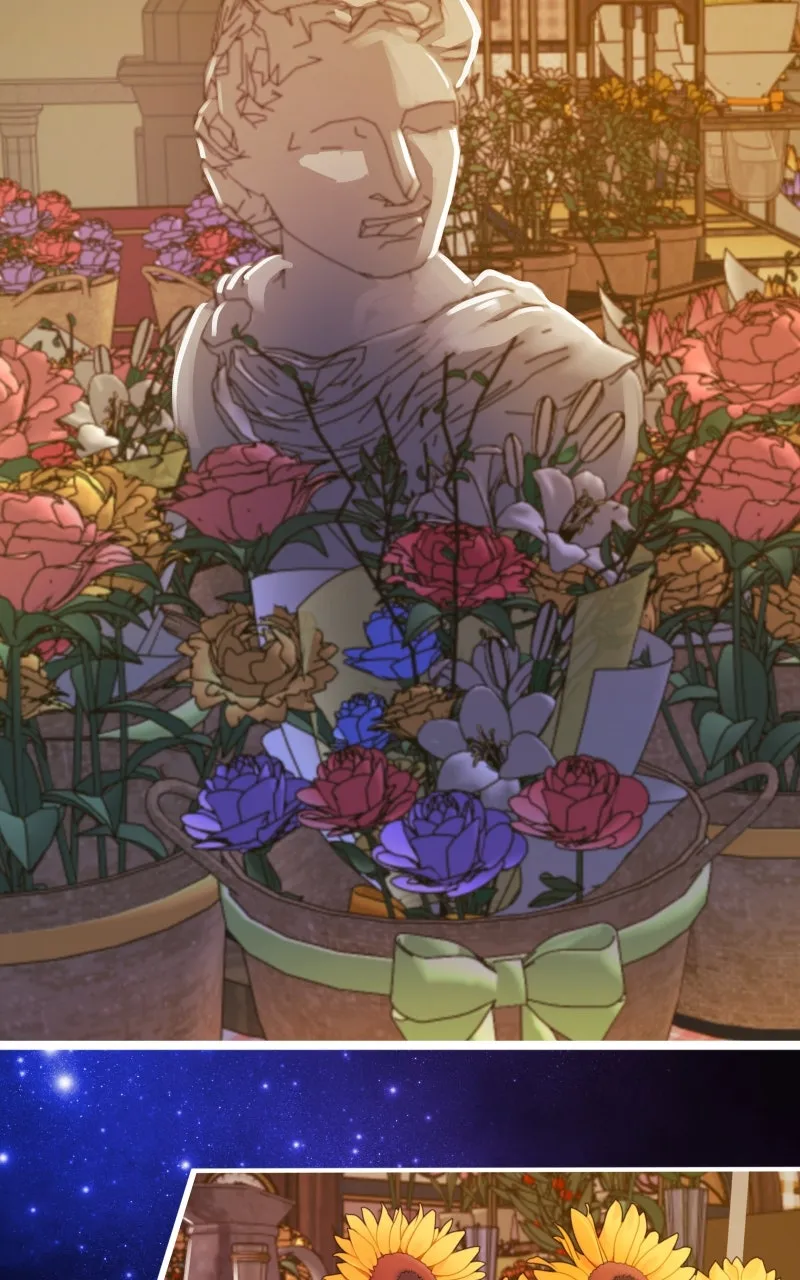 Read Star Catcher EN Manga Online