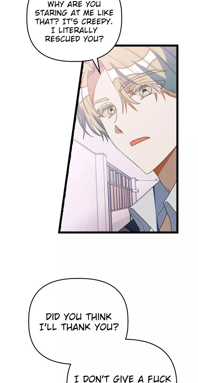 Read Survive Romance EN Manga Online