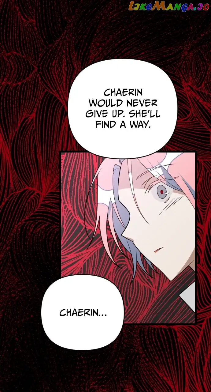 Read Survive Romance EN Manga Online