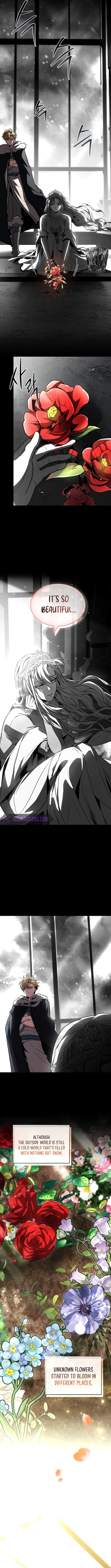 Read Talent Swallowing Magician EN Manga Online