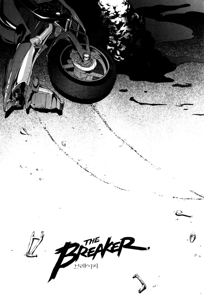 Read The Breaker EN Manga Online