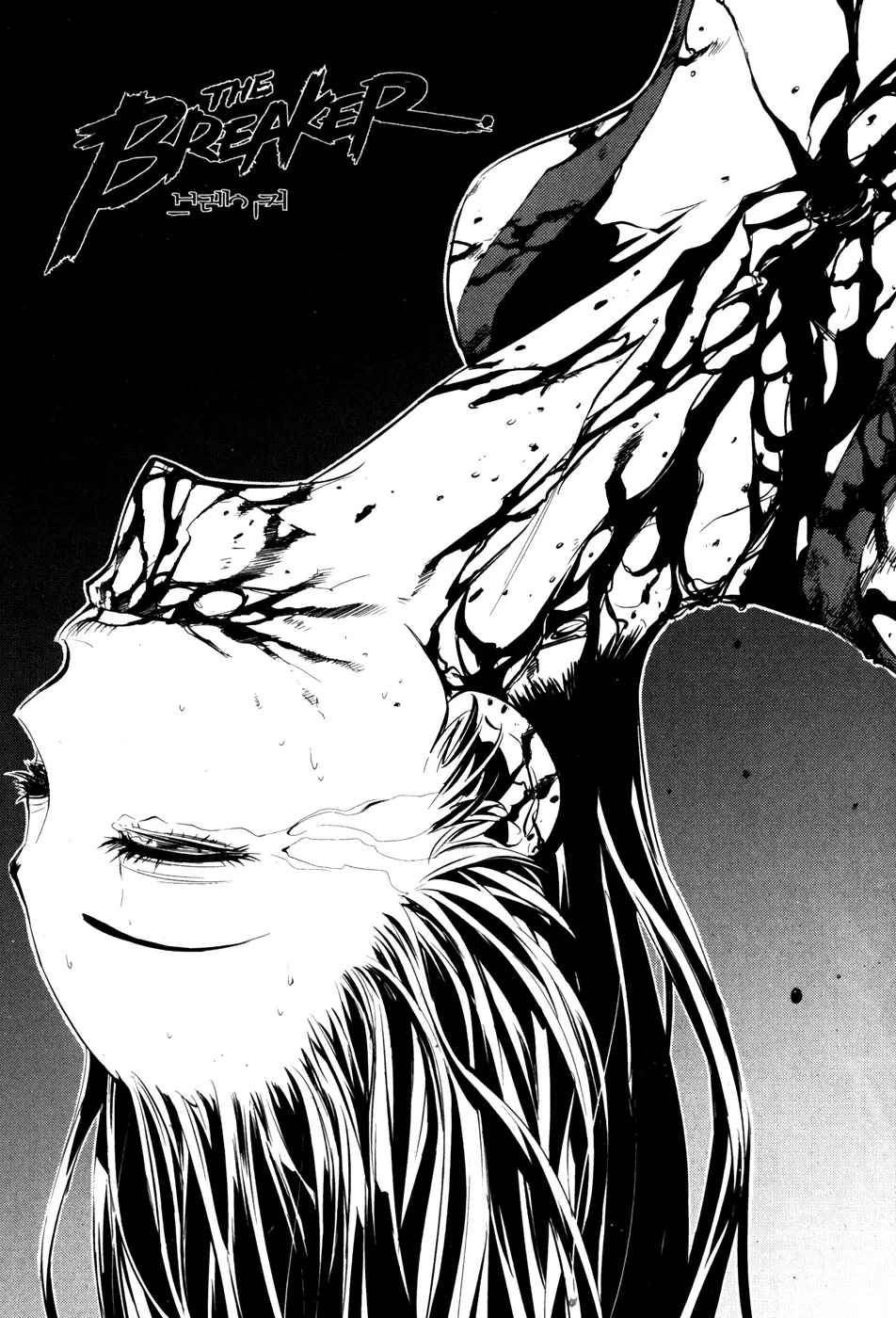 Read The Breaker EN Manga Online