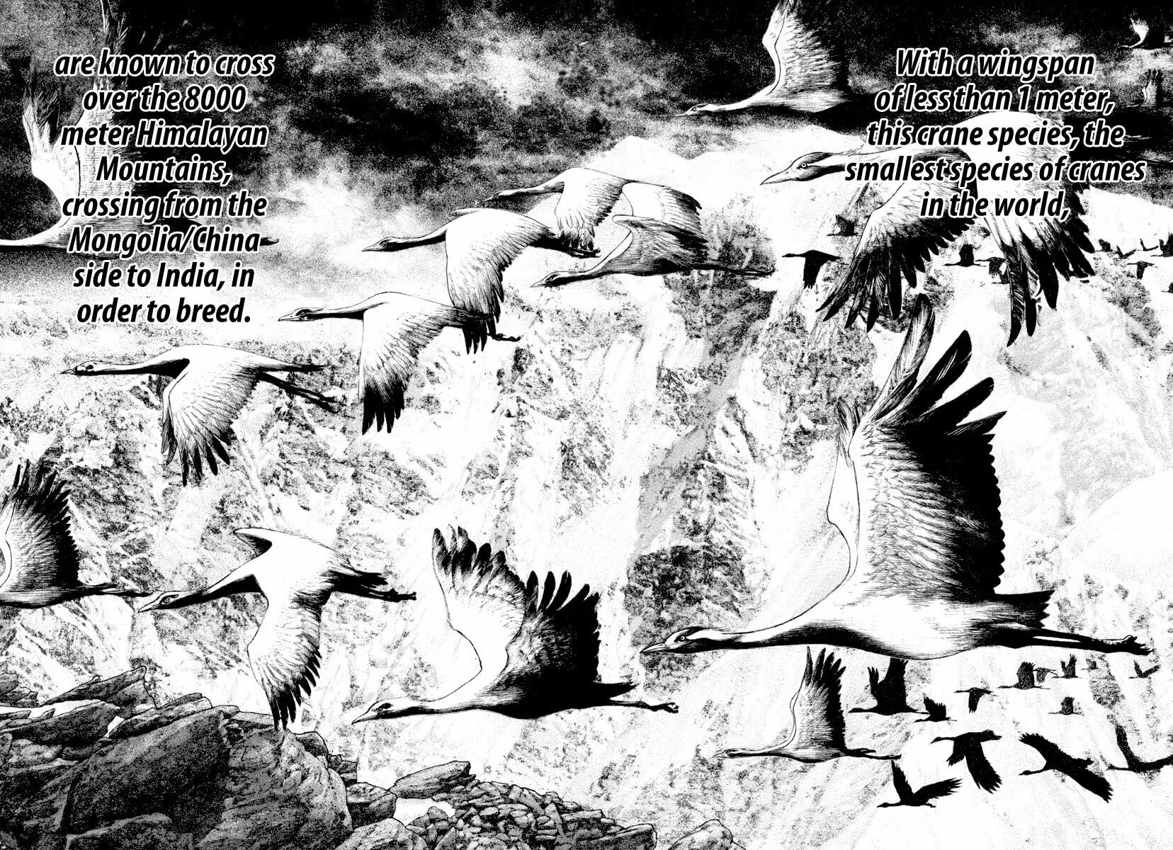 Read The Climber EN Manga Online