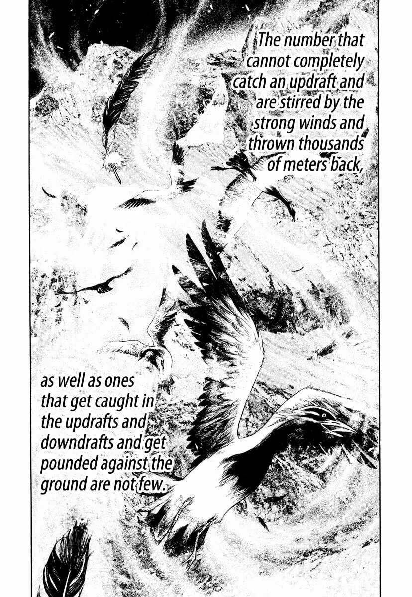 Read The Climber EN Manga Online