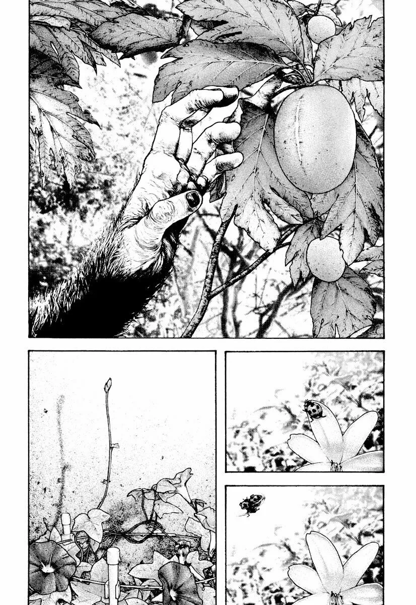 Read The Climber EN Manga Online