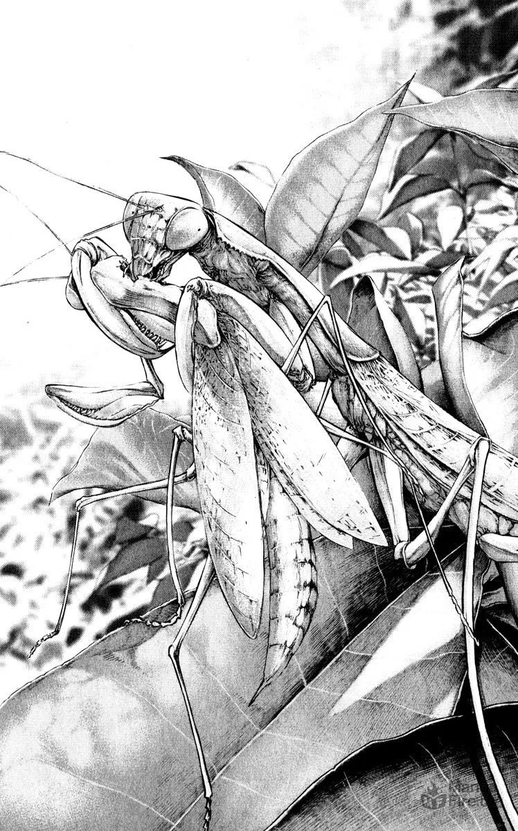Read The Climber EN Manga Online