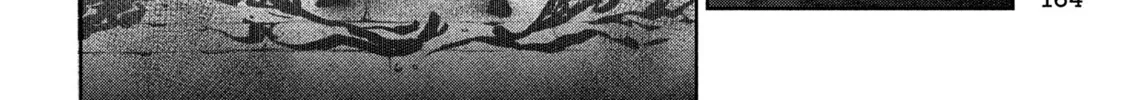 Read The Exiled Heavy Knight Knows How to Game the System EN Manga Online