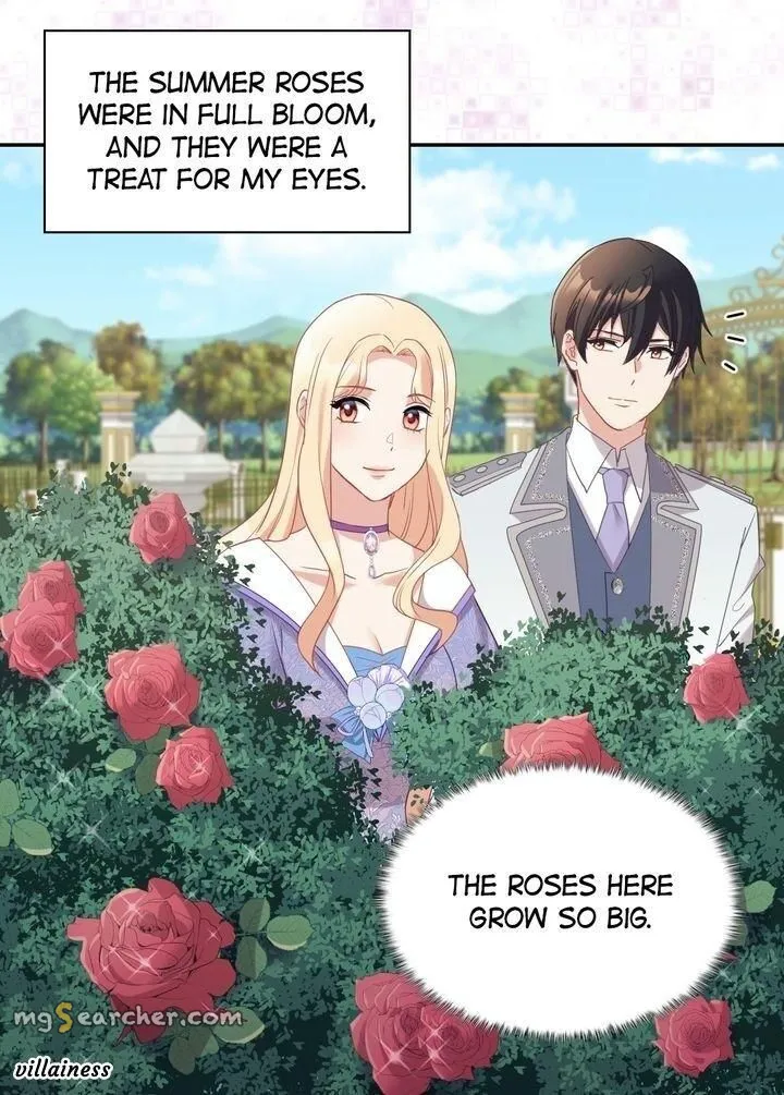 Read The Justice of a Villainous Woman EN Manga Online