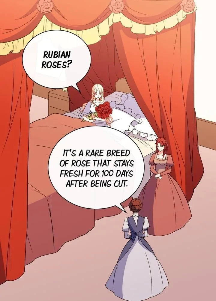 Read The Justice of a Villainous Woman EN Manga Online