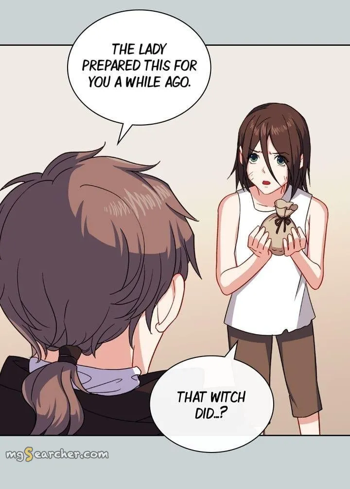Read The Justice of a Villainous Woman EN Manga Online