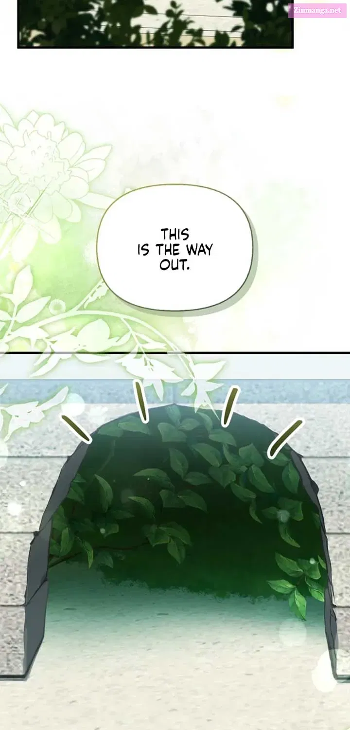 Read The Runaway Countess Has Returned EN Manga Online