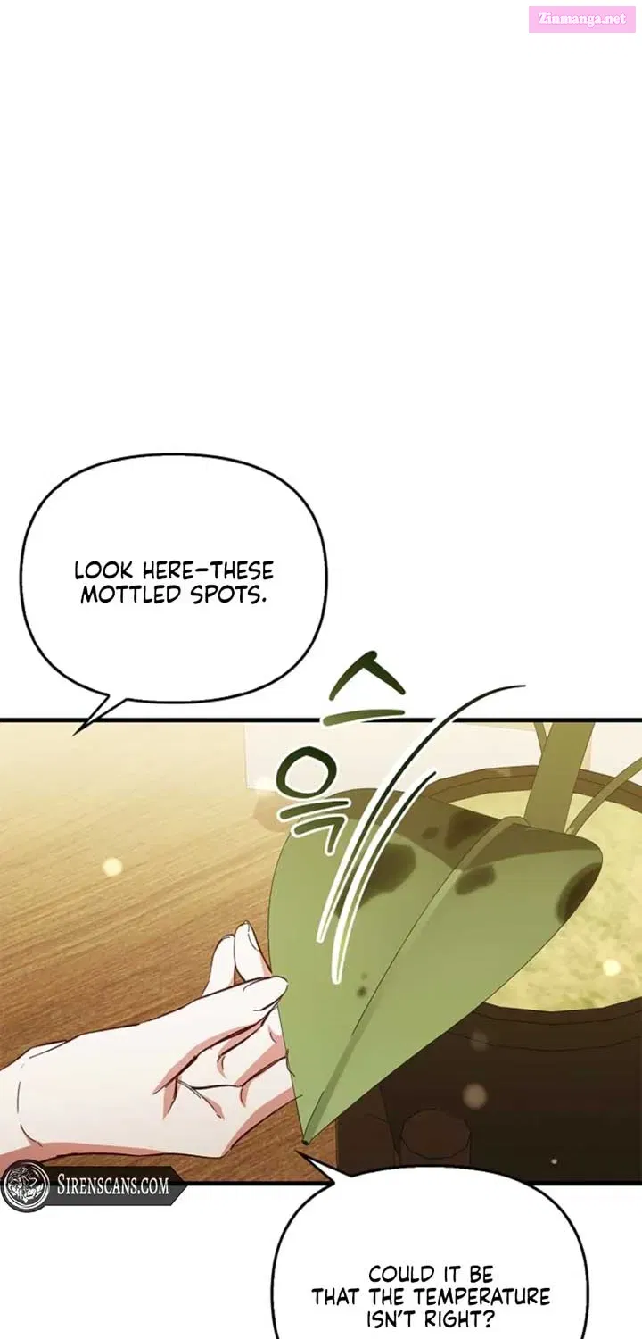 Read The Runaway Countess Has Returned EN Manga Online