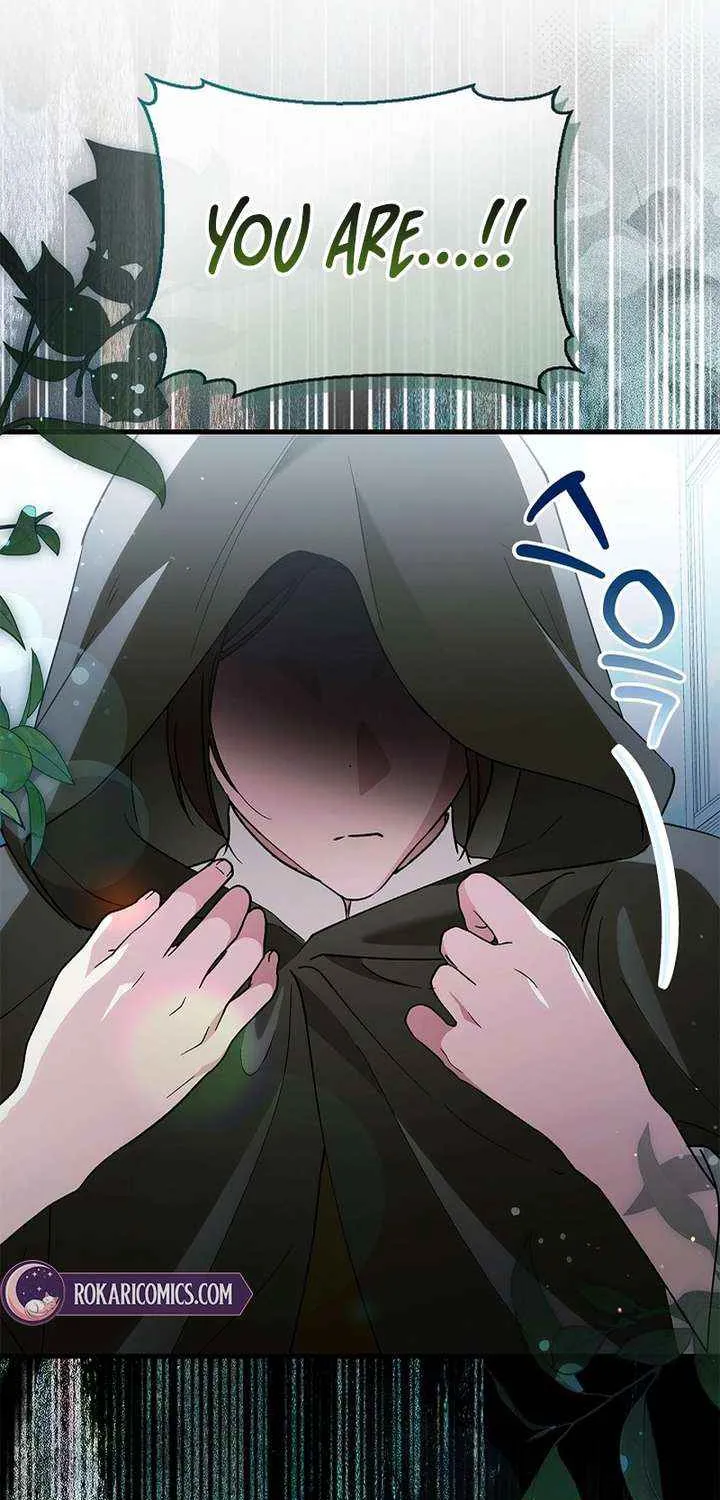 Read The Runaway Countess Has Returned EN Manga Online