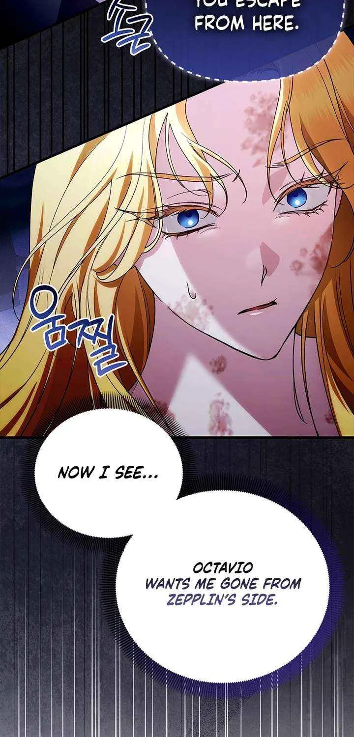 Read The Runaway Countess Has Returned EN Manga Online