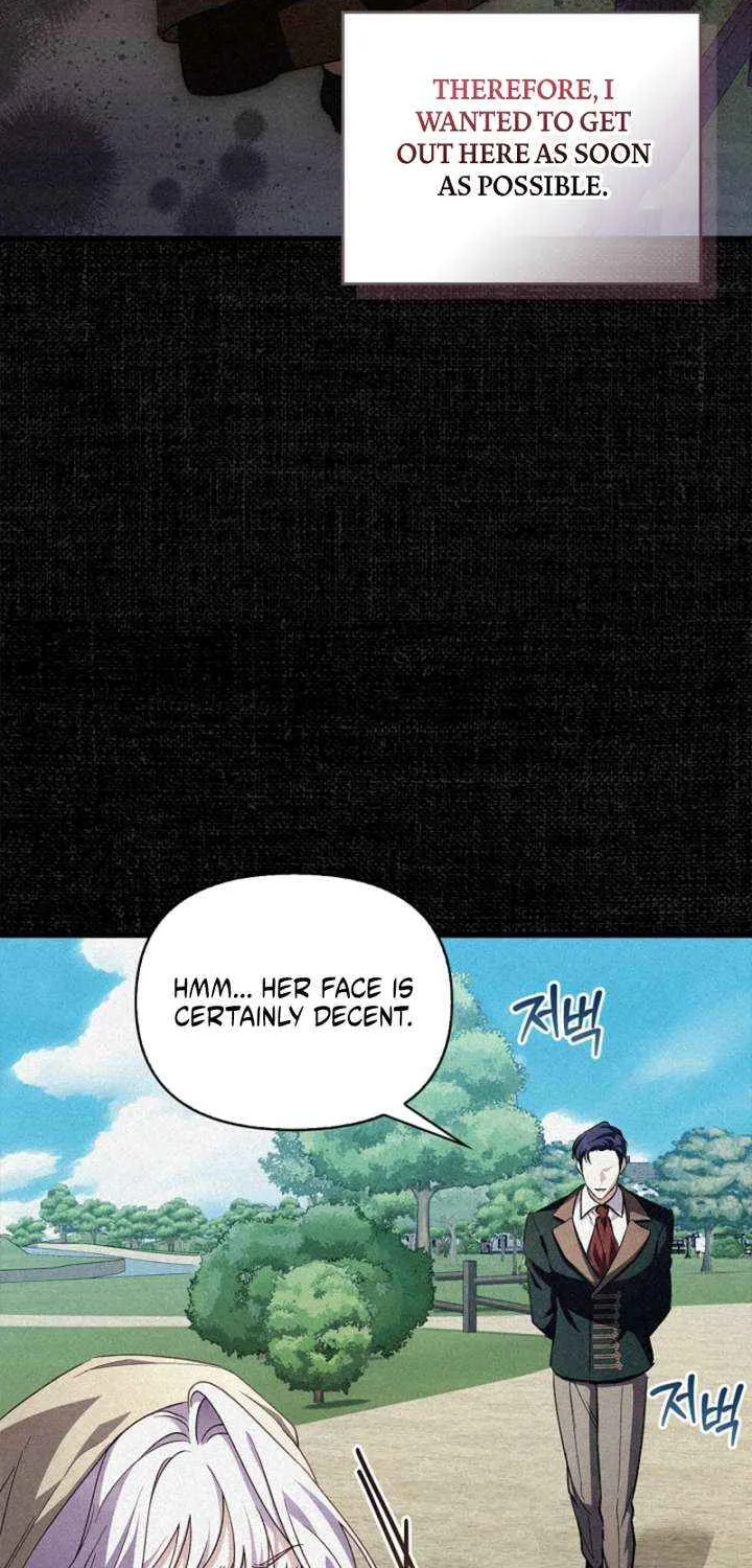 Read The Runaway Countess Has Returned EN Manga Online