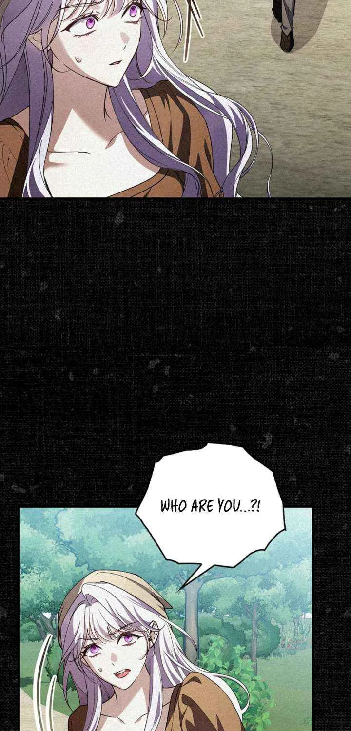 Read The Runaway Countess Has Returned EN Manga Online