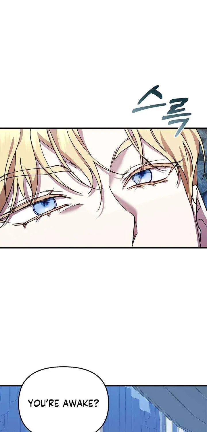 Read The Runaway Countess Has Returned EN Manga Online