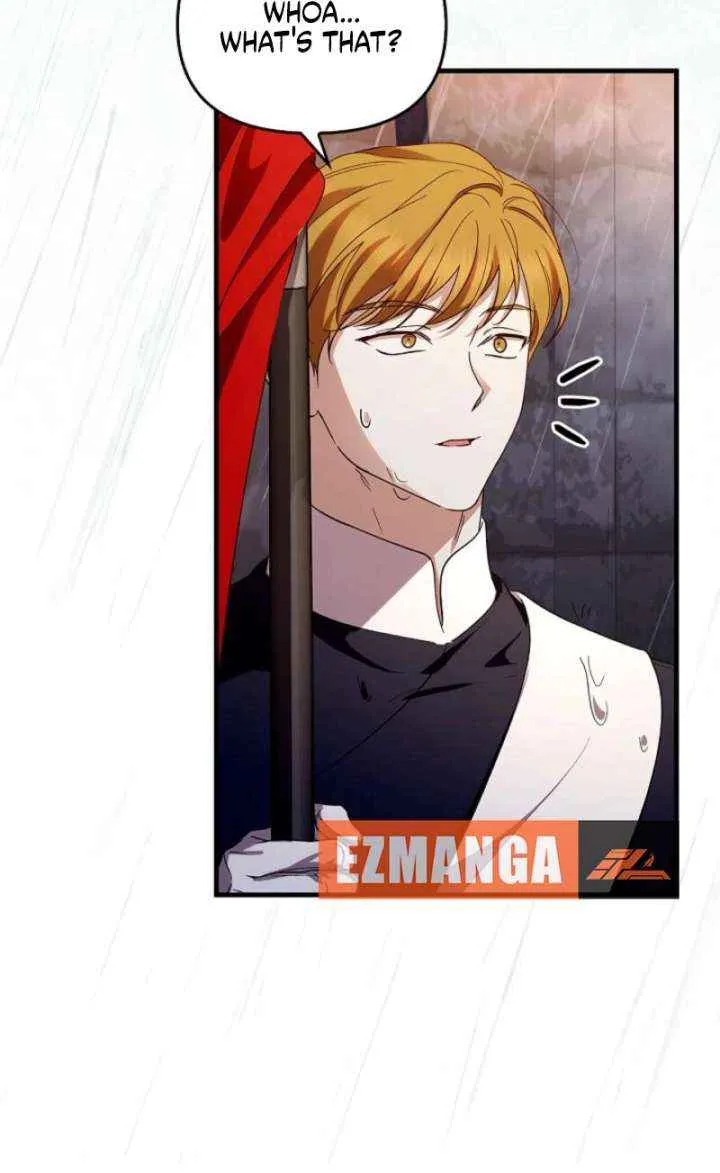 Read The Runaway Countess Has Returned EN Manga Online
