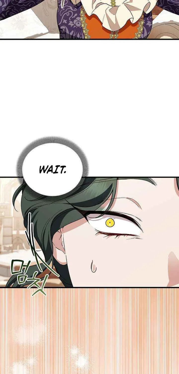 Read The Runaway Countess Has Returned EN Manga Online