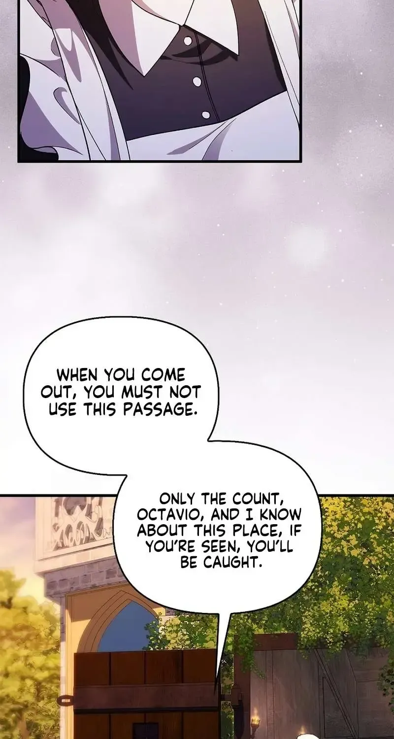 Read The Runaway Countess Has Returned EN Manga Online