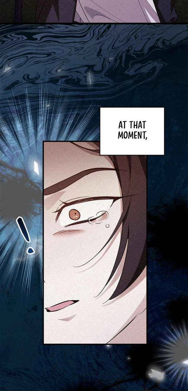 Read The Runaway Countess Has Returned EN Manga Online