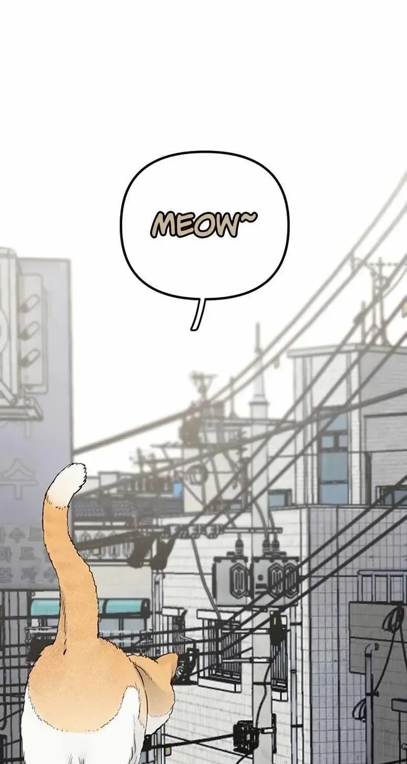 Read The Silent Transfer Student EN Manga Online