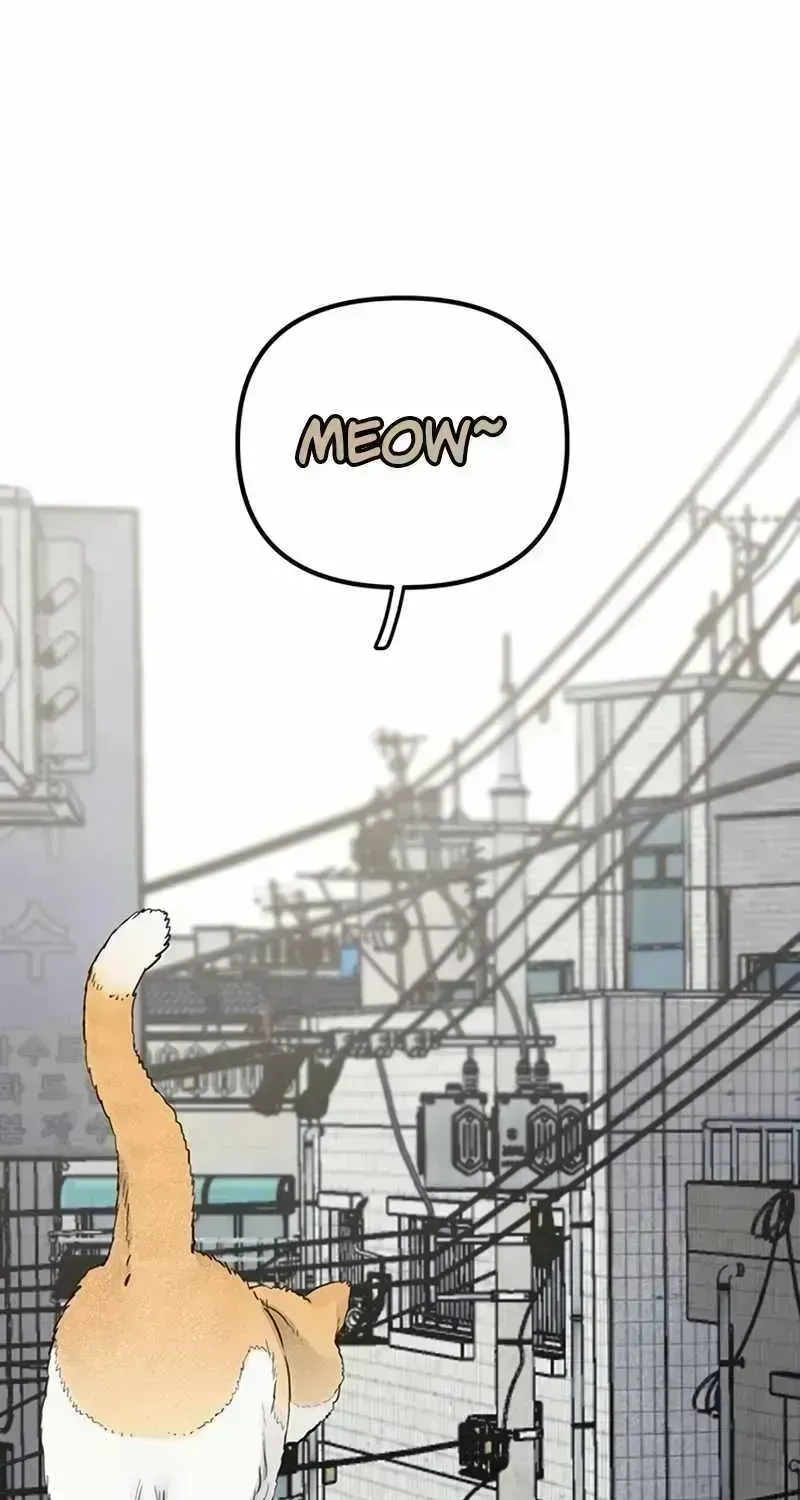 Read The Silent Transfer Student EN Manga Online