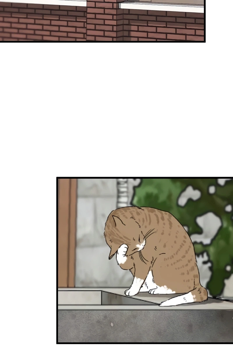 Read The Silent Transfer Student EN Manga Online