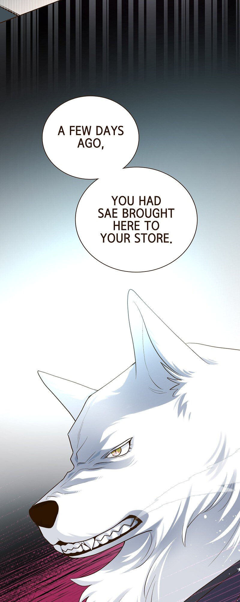 Read The White Wolf’s Bride EN Manga Online