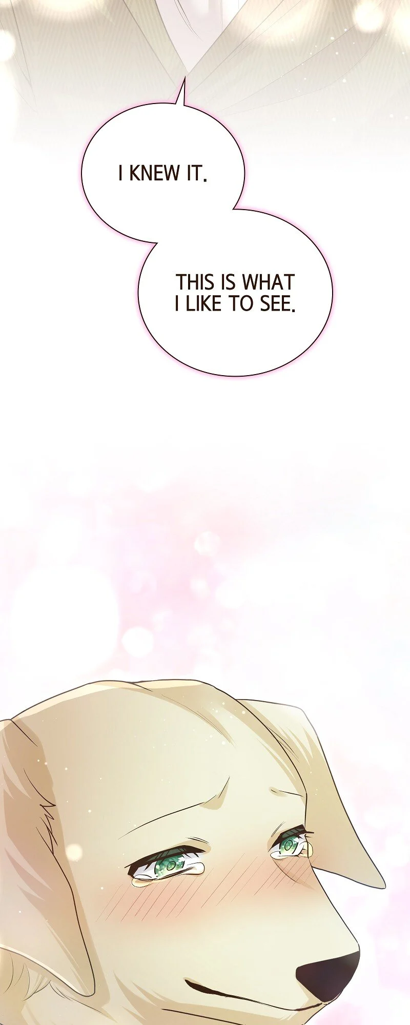 Read The White Wolf’s Bride EN Manga Online