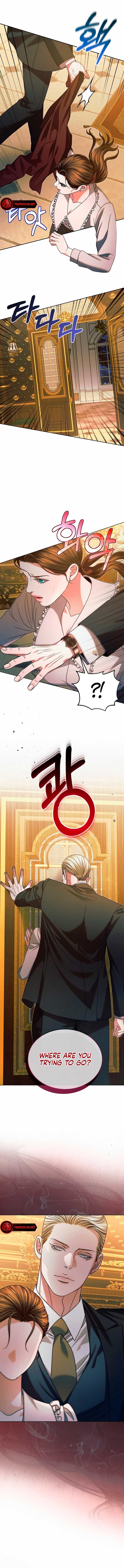 Read Try Begging Me EN Manga Online